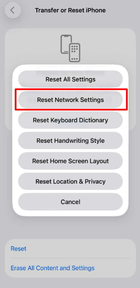 Reset Network Settings option in iPhone settings