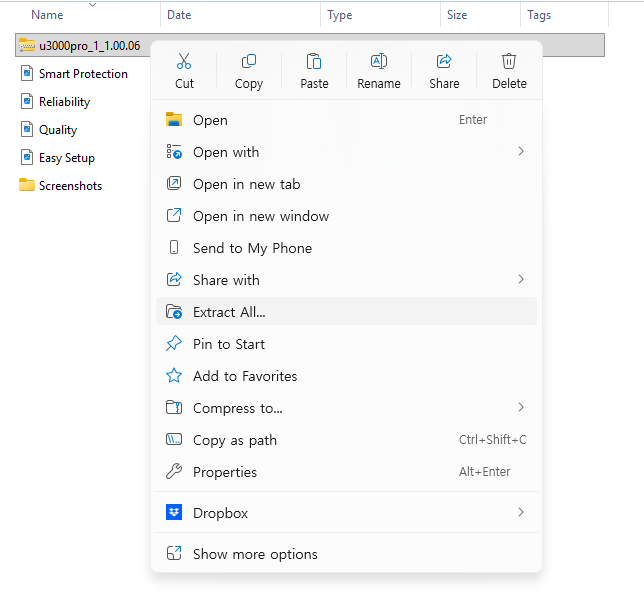 Downloaded firmware archive in Windows Downloads