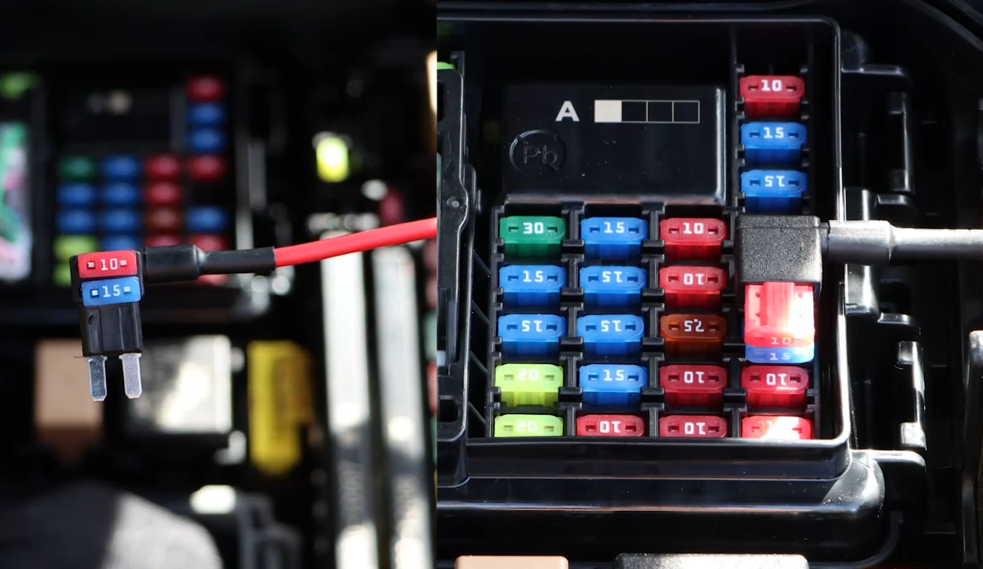 Fuse holder installed in the selected input circuit